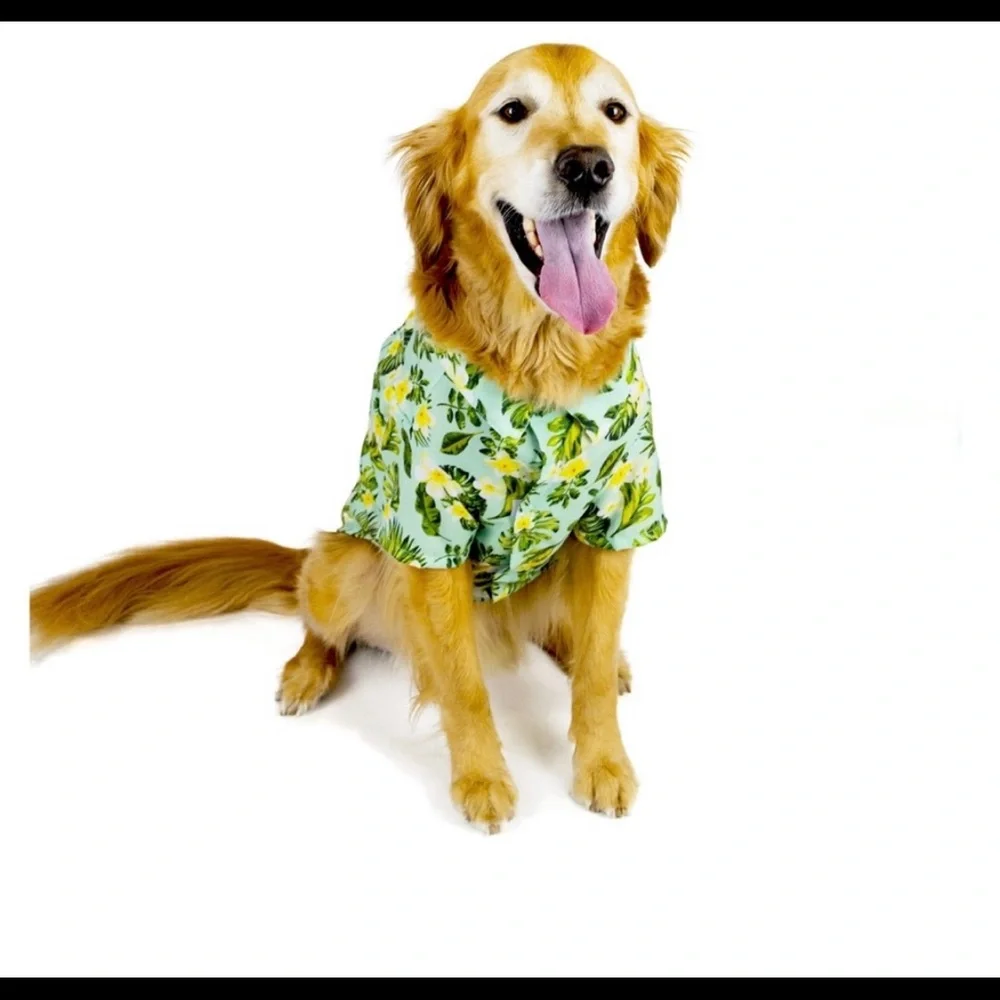 Frisco Hawaiian dog shirt size X-Large